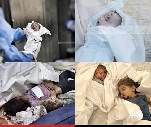 nowgnna's tweet photo. 🔴 رئيس لجنة التحقيق الأممية بشأن فلسطين: أكثر من 20 ألف طفل فلسطيني قتلوا خلال الفترة من أكتوبر 2023 إلى أكتوبر 2025 https://t.co/9ZWZcPLm4D
