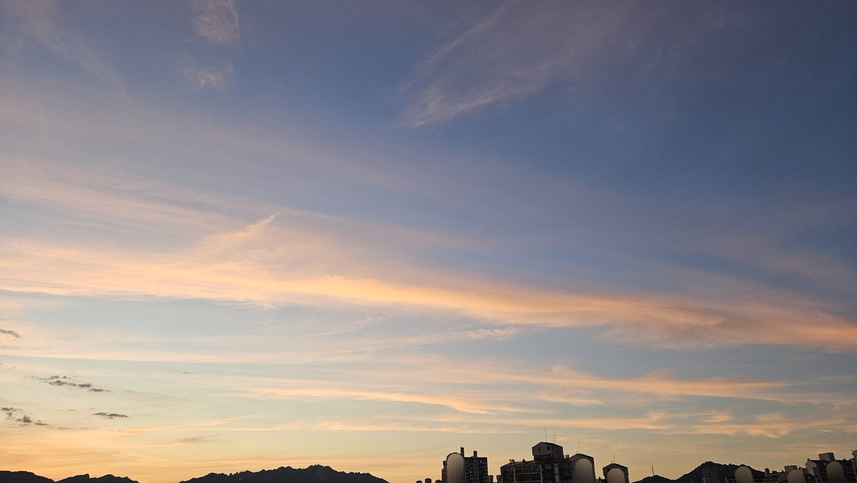 카포 tweet media