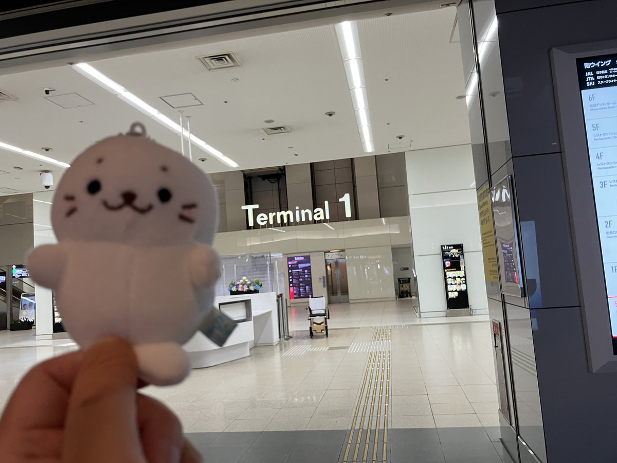 sirotan0812's tweet photo. 羽田空港到着🛬
家に帰りまーす🏠 https://t.co/Sz19ALynMo