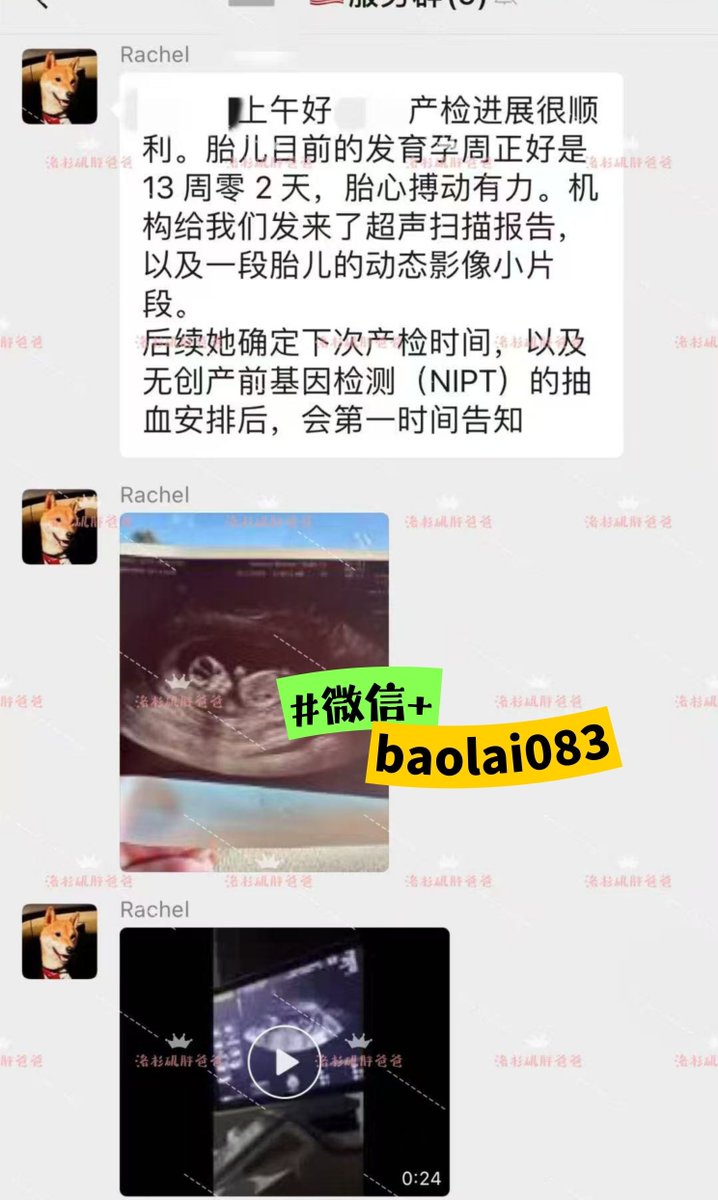 NotDMolina's tweet photo. 美国双捐代妈，已经顺利进入孕13周了。这次产检结果显示一切正常。
这位代妈一次移植就成功，孕早期也平稳度过。胚胎分别来自于经过筛查的优质卵子和精子，整个准备过程相对顺利，祈祷接下来的孕期也一路��灯。 

海外合法代孕 供精供卵 送宝宝回国 #lesbisange 哥伦比亚代孕 台湾代孕 单身试管代孕 https://t.co/d1gZTRX2ym