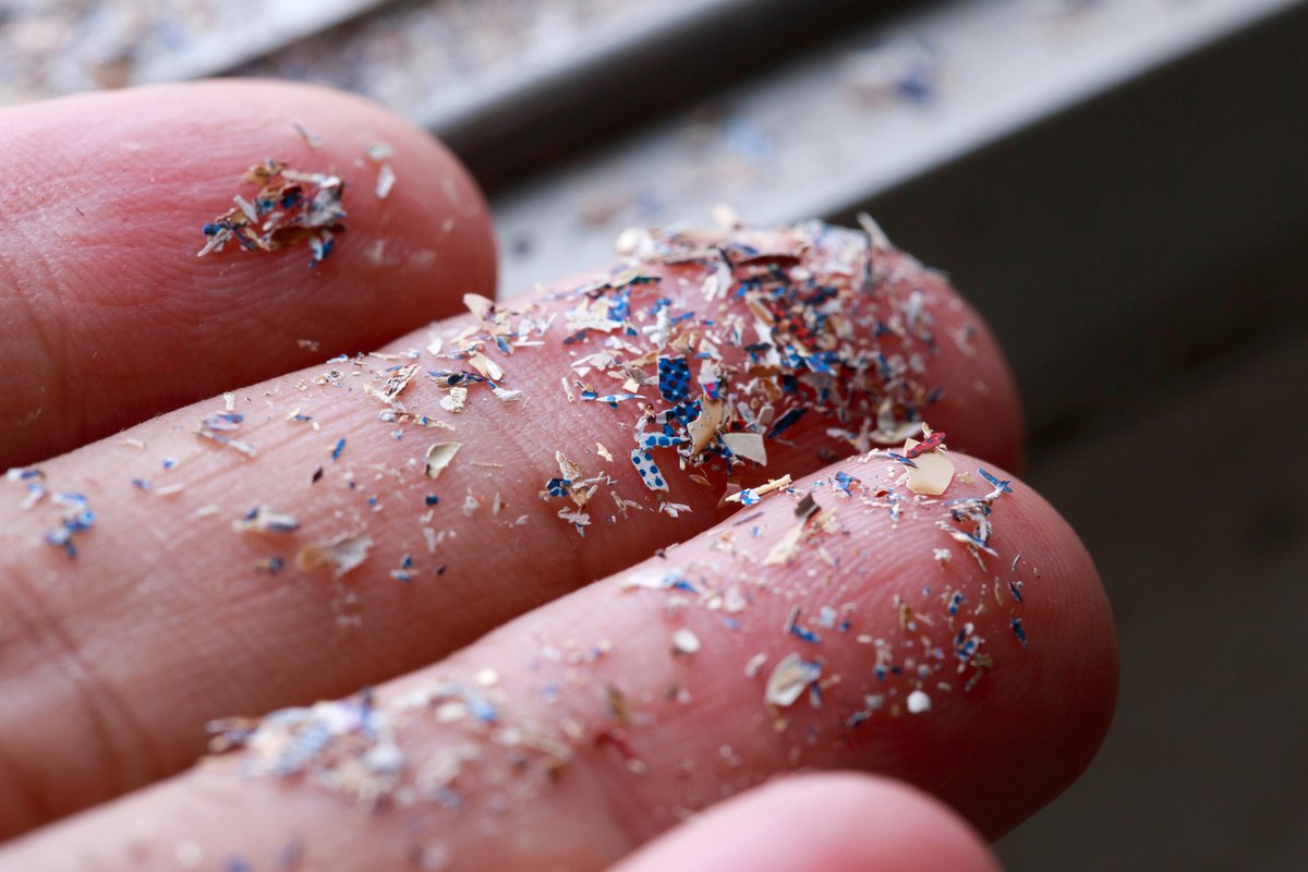 Kest_Tellevate's tweet photo. Microplastics have been found in every ecosystem on the planet—food, drink, human &amp; animal tissue. While scientists still do not fully understand the impacts of microplastics on human health &amp; aquatic life, federal attention to microplastics is increasing. https://t.co/ritqr7AC9z https://t.co/GWXAXOsApl