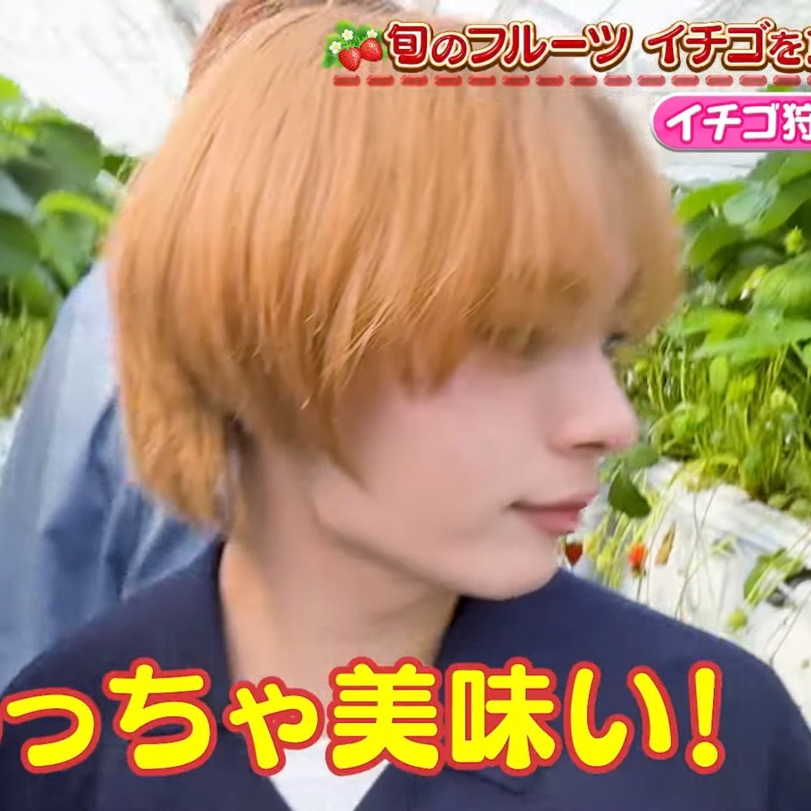 ryuseimeromero's tweet photo. 大西流星 顔 https://t.co/l4ceQfomm4