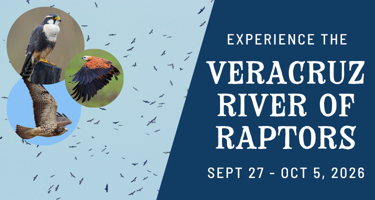 Hawk_Mountain's tweet photo. We still have a few spots open for the Veracruz River of Raptors Eco-Tour this fall! Witness the world's largest raptor migration on earth from several diverse habitats in beautiful Veracruz, Mexico. Check out the itinerary and details at the link below!

https://t.co/zFvWcJZWvU https://t.co/sHxZD29h7D