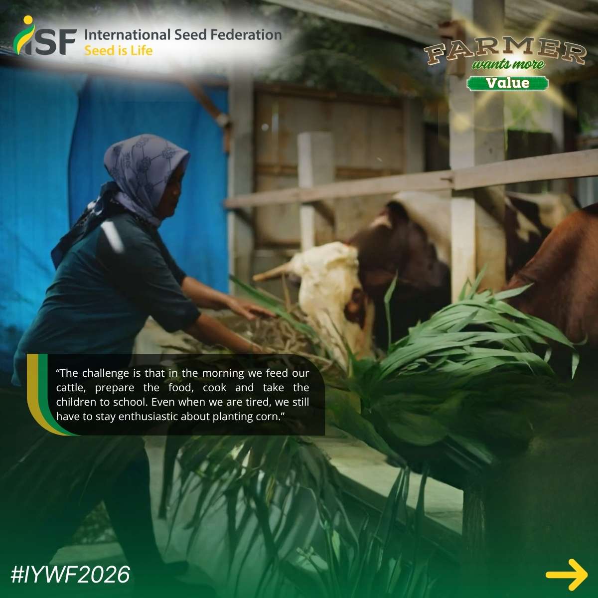International Seed Federation tweet media