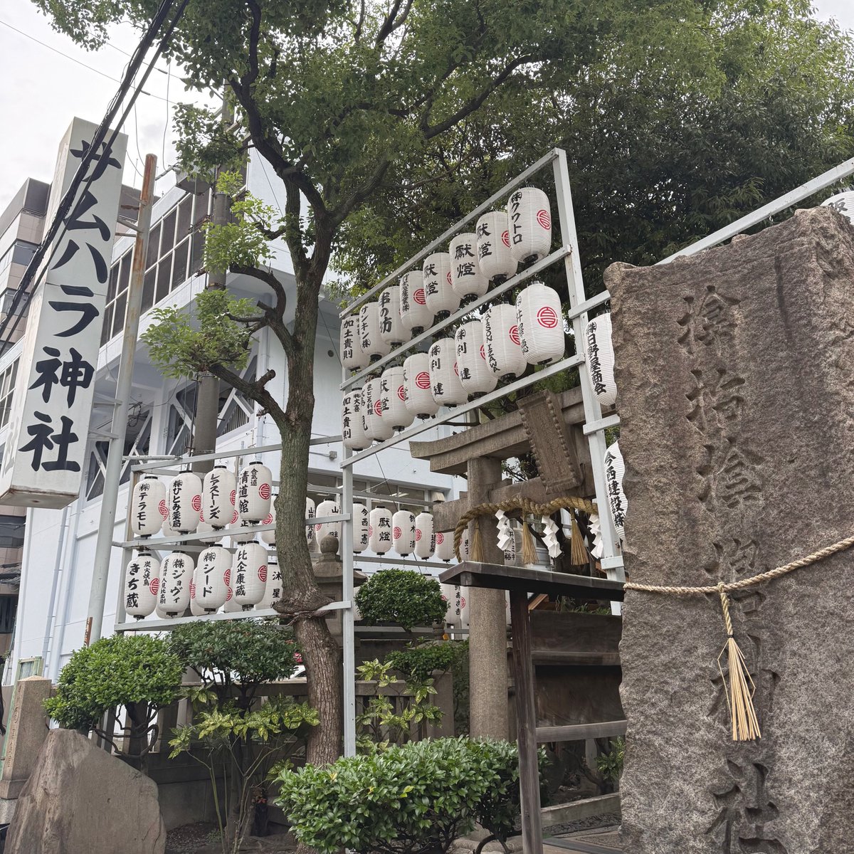 __hlem24's tweet photo. お久しぶりのエマ活☺️💟
トリーゴ閉店しちゃう前にミルキー食べられてよかった🥹
甘くて美味しかった🍞
昨日に引き続きサムハラ神社でもパワーをいただき今日もおしまい🌙
楽しかったなぁ😚 https://t.co/BE6fPE6lni