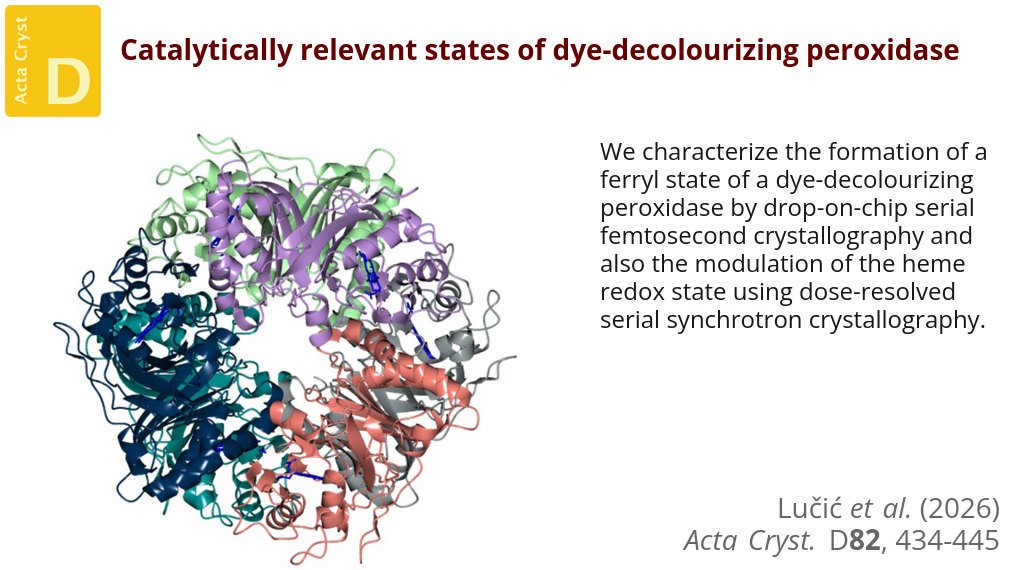 ActaCrystD's tweet photo. Modulating redox states in heme peroxidases in synchrotron and XFEL experiments @Uni_of_Essex @ActaCrystD @IUCr #HemeEnzymes #TimeResolvedCrystallography #Peroxidases https://t.co/0oVvffO1eg https://t.co/uH2nxAo95I