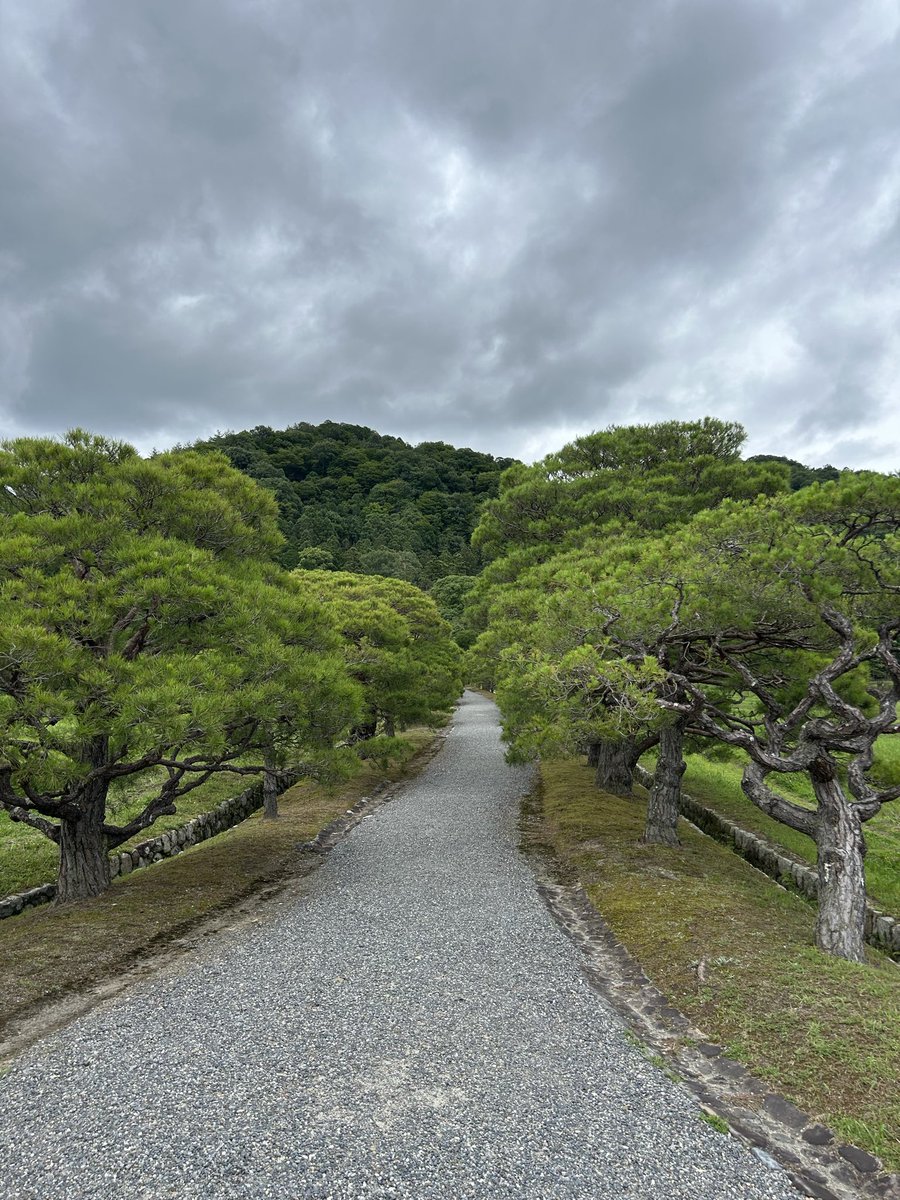 venus_wagon's tweet photo. 念願の修学院離宮の参観( *´꒳`* )🏵️
お山の麓⛰気持ちの良い空間𓂃🫧
桜、紅葉、松、竹。
月を愛でる、風を流す、光を入れる、歓迎と名残惜しさを道幅で表現する…
"日本の美"が凝縮された場所🌳
 #修学院離宮 https://t.co/LJgV31hDhV