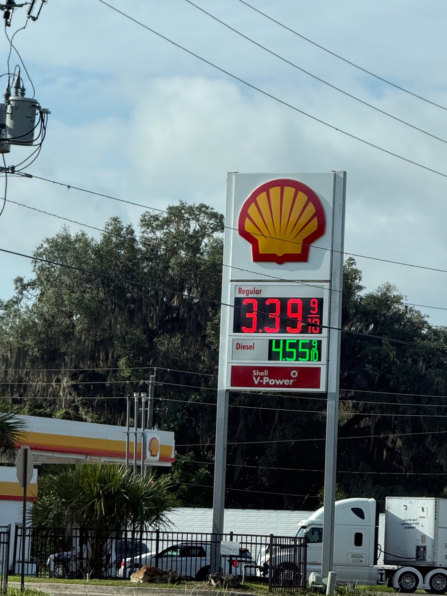 firelyfe76's tweet photo. @LibOrNormal Hawthorne Florida on 301 this morning https://t.co/TFV6EEqCFF