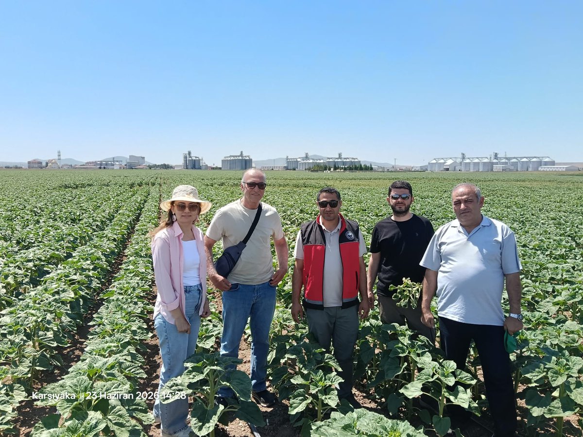 Bugemtr's tweet photo. 📍Konya 
Kulu ilçesinde; Genel Müdürlüğümüz ve İl, ilçe Müdürlüklerimiz teknik personelince Pelemir ürünü tarla günü  programına katılım sağlanmış olup ayçiçeği üretim alanlarında saha ziyaretleri gerçekleştirilerek inceleme ve değerlendirmelerde bulunuldu.

@TCTarim