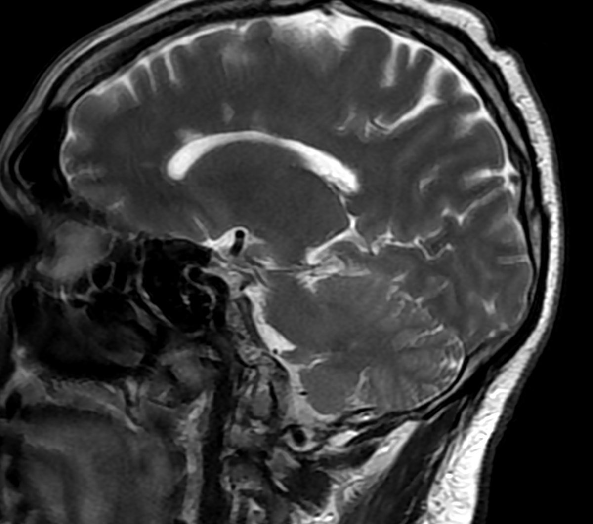 RADIOLOGISTS tweet media