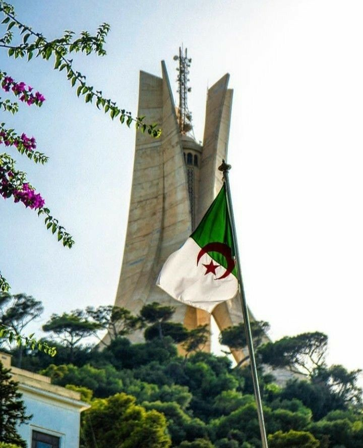 HeatyMelk's tweet photo. وطني الجزائر... عزّ وفخر طول العمر 🇩🇿🌹 https://t.co/FKslLErihe