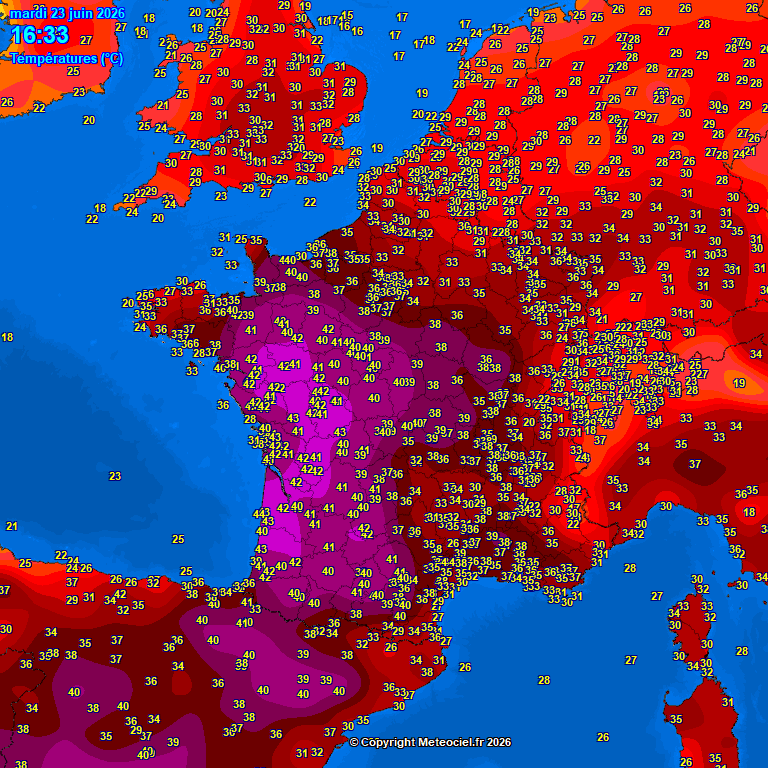 The Global Warmer🔥 tweet media