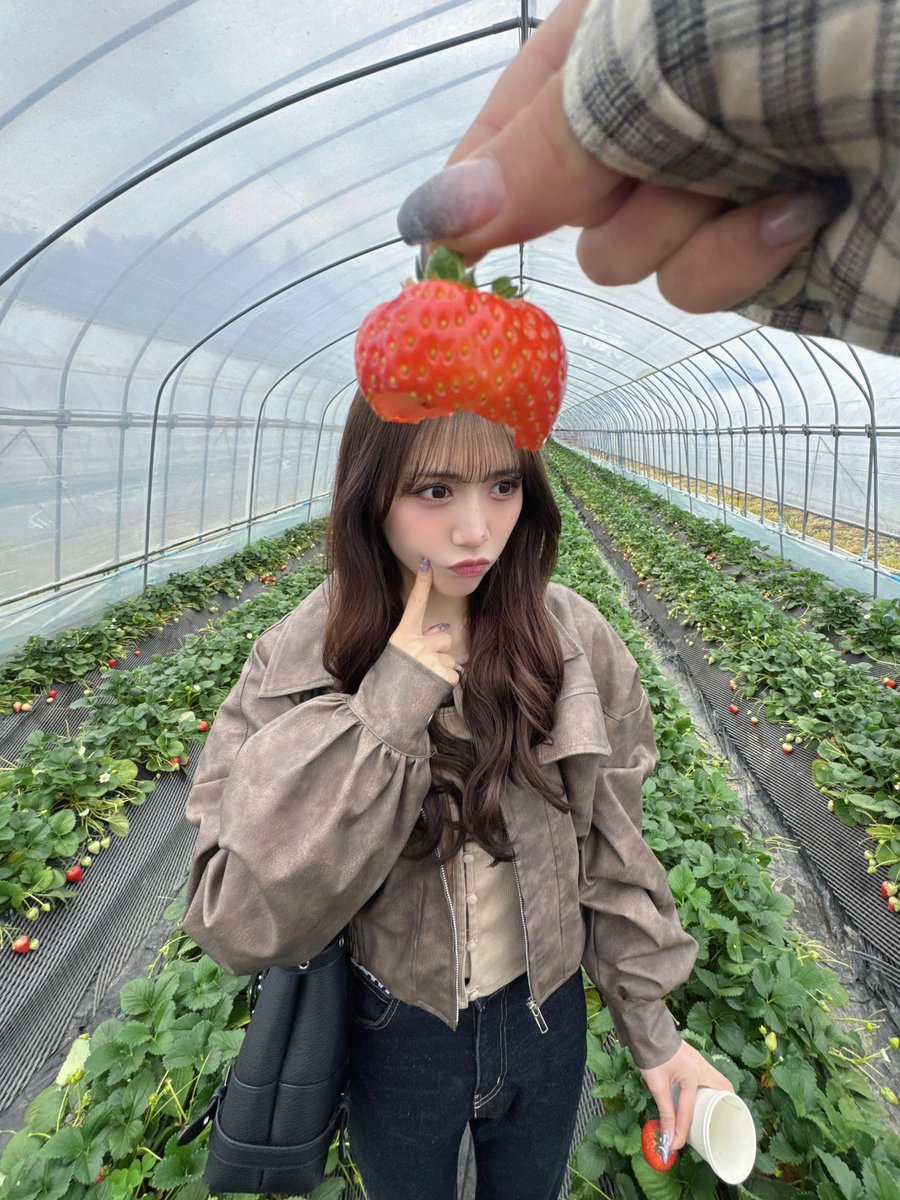 GFlags's tweet photo. 【AMEFURASSHIが解散して101日目】

推しを愛でることができる幸せ…💜

あの頃の幸せな日常が戻ったようで嬉しい…😭💜

ずっとLOVE💜💛❤️💙

#AMEFURASSHI
#アメフラ
#市川優月
#鈴木萌花
#愛来 
#小島はな https://t.co/jG1NNITF0r