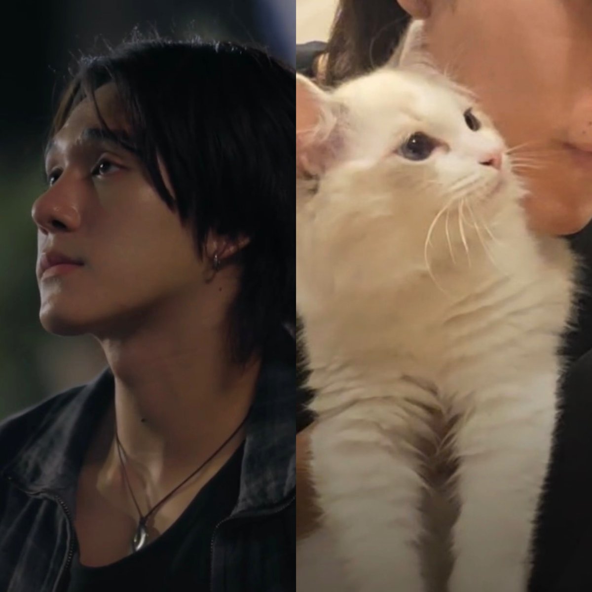 mgmiott's tweet photo. รูปตาเหมือนกันเลยยยยย 🥺🥺🥺
#WUTheSeriesEP8 https://t.co/QbWRaHOLy6