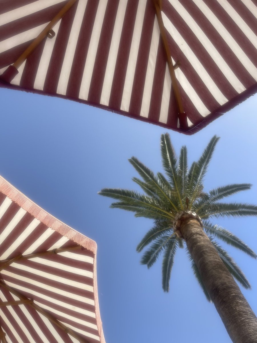 PoopsnoopEditor's tweet photo. El Fuerte Beachfront Contemporary Hospitality With World Class Food And Genuine Easy 5 Star Service https://t.co/t2F64RatMM @fuertehoteles @hollyhyanez #marbella #luxurytravel https://t.co/oGwcKGfWFt