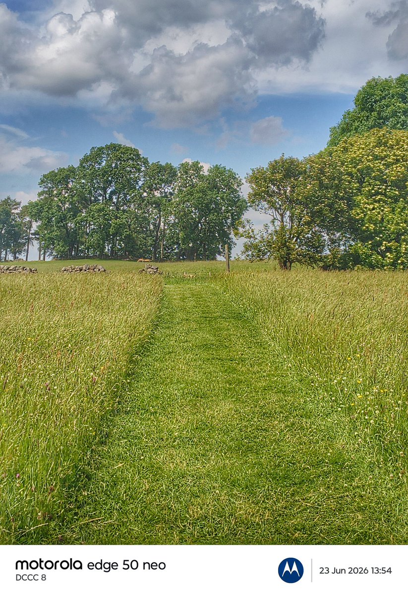 HWpath's tweet photo. A lovely day out on #hadrianswall #nationaltrail in #northumberland 

Here's the path through the Hayfield at St Oswalds https://t.co/PPqLeYdLXl