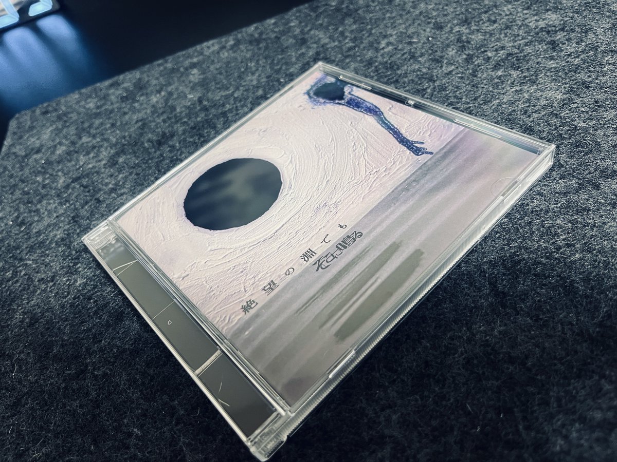 sokoninaru's tweet photo. 『絶望の淵でも』手にとっていただけたでしょうか？
23週くらい周ってこれが自分なりのJ-POPというものを仕上げました。
たくさん聴いてください🍕

#絶望の淵でも https://t.co/8BI5SyOJY0