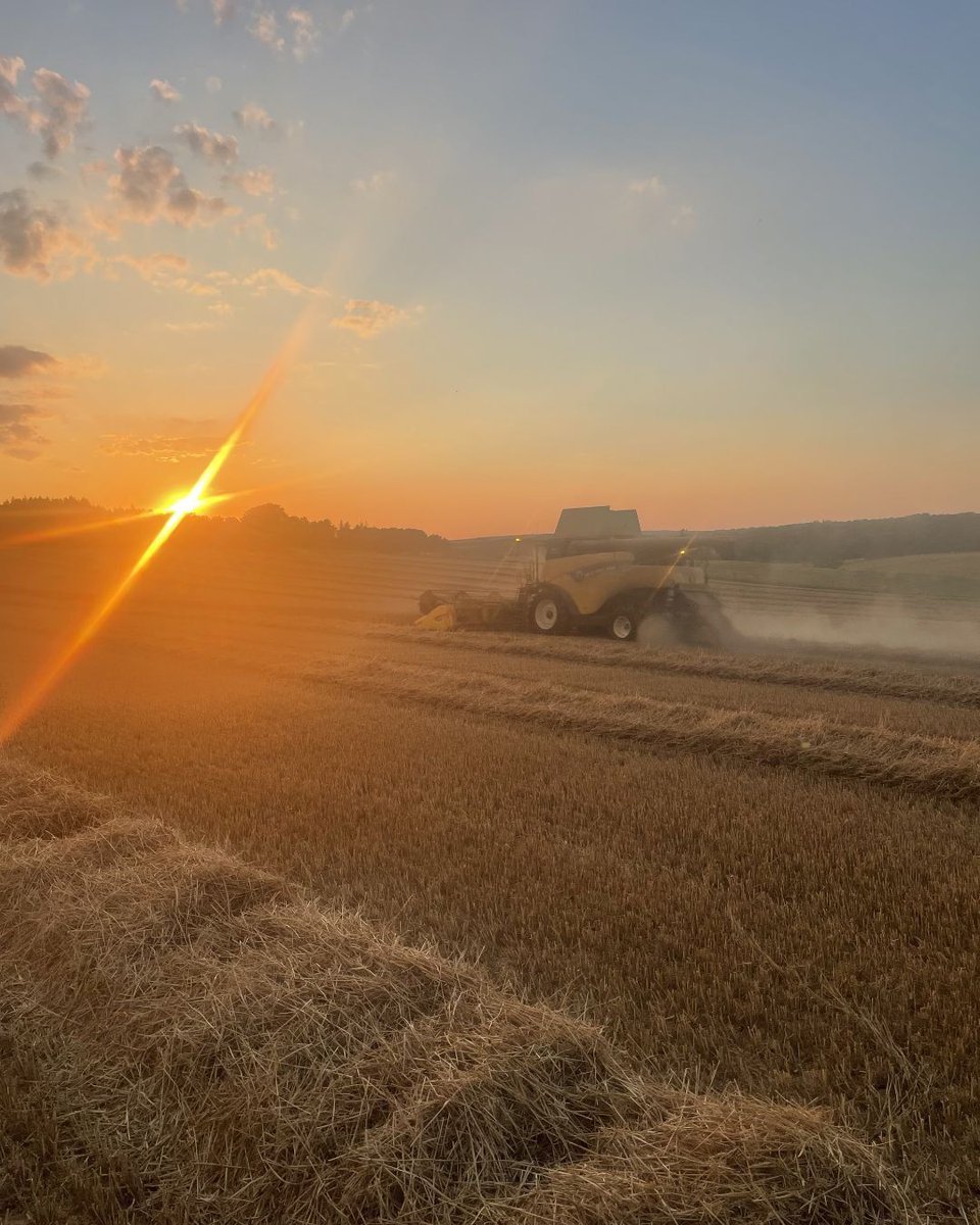 HORSCH_France's tweet photo. #dechaumage #horschjoker
[JOKER CT] Mieux vaut des chiffres* qu’un long discours  : 
💰️Coût d’utilisation: 7,80€/ha 
📉Décote : 40%  
⚙️Coût d’entretien : 1,90€/ha 
▪️Réglages ultra simples 
▪️RollFlex pour un rappui en toute condition 
*#Entraid https://t.co/Sm8can7urD https://t.co/bS5VFMrAKC