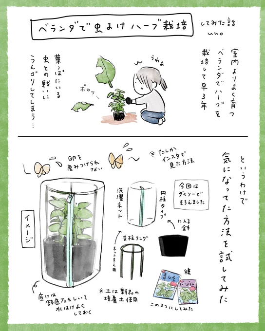 ベランダで虫除けハーブ栽培の日記🌿
バジルは今のところいい感じです! 