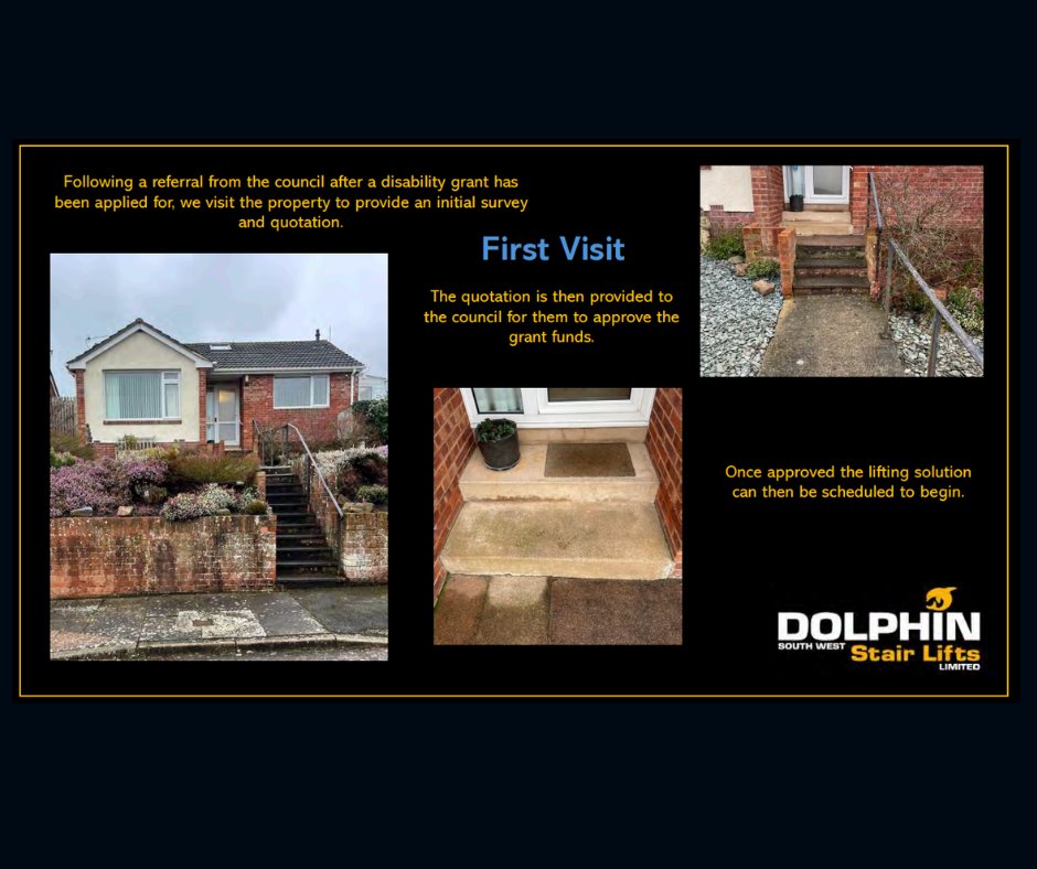 dolphin_devon tweet picture