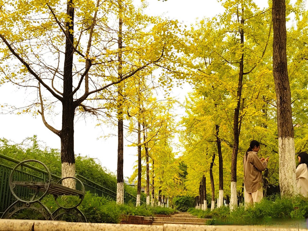 SafinDanil1's tweet photo. [Early autumn breeze hits with crisp air, perfect for a walk with a warm coffee in hand! ]， https://t.co/rPBof5CWAz