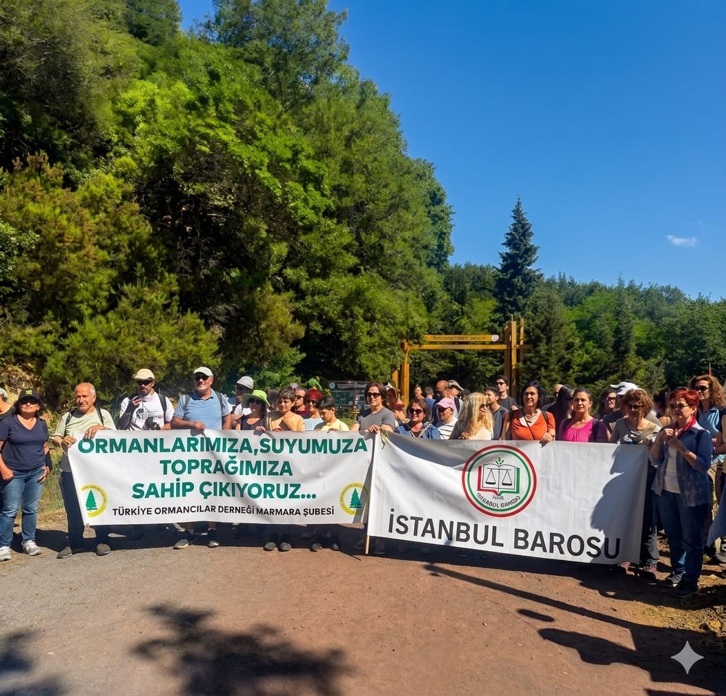 istbaro_cevre's tweet photo. İstanbul Barosu ve Türkiye Ormancılar Derneği olarak 21 Haziran Pazar günü ormanlarımızın "karbon yutak alanı" kavramı altında metalaştırılmasına ve "orman sınırı dışına çıkarma" uygulamalarına karşı Polonezköy Tabiat Parkı'nda bir araya geldik.

Ormanlarımızı savunuyoruz! https://t.co/rFpzD5ltW2
