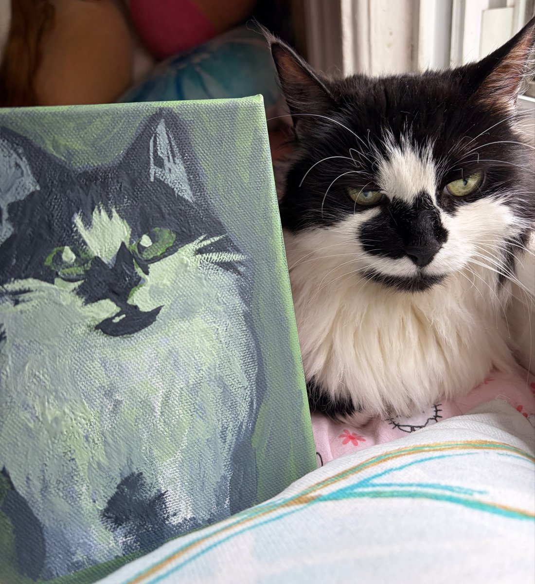 meowheon's tweet photo. my princess chi chi turns 14 today HAPPY BIRTHDAY CHICHARRON 🎉😻❤️ https://t.co/bWr4lvvvvk