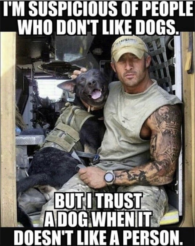 _rockytop_biker's tweet photo. This is one of 1,206 reasons I do not believe radical Islamists are here to assimilate and live in peace with us. If you do not like dogs, pork and bacon - we cannot be friends. Wake up America! They are here on a mission of complete conquest! They all must go! 🤬 https://t.co/mJtv6ik8qU