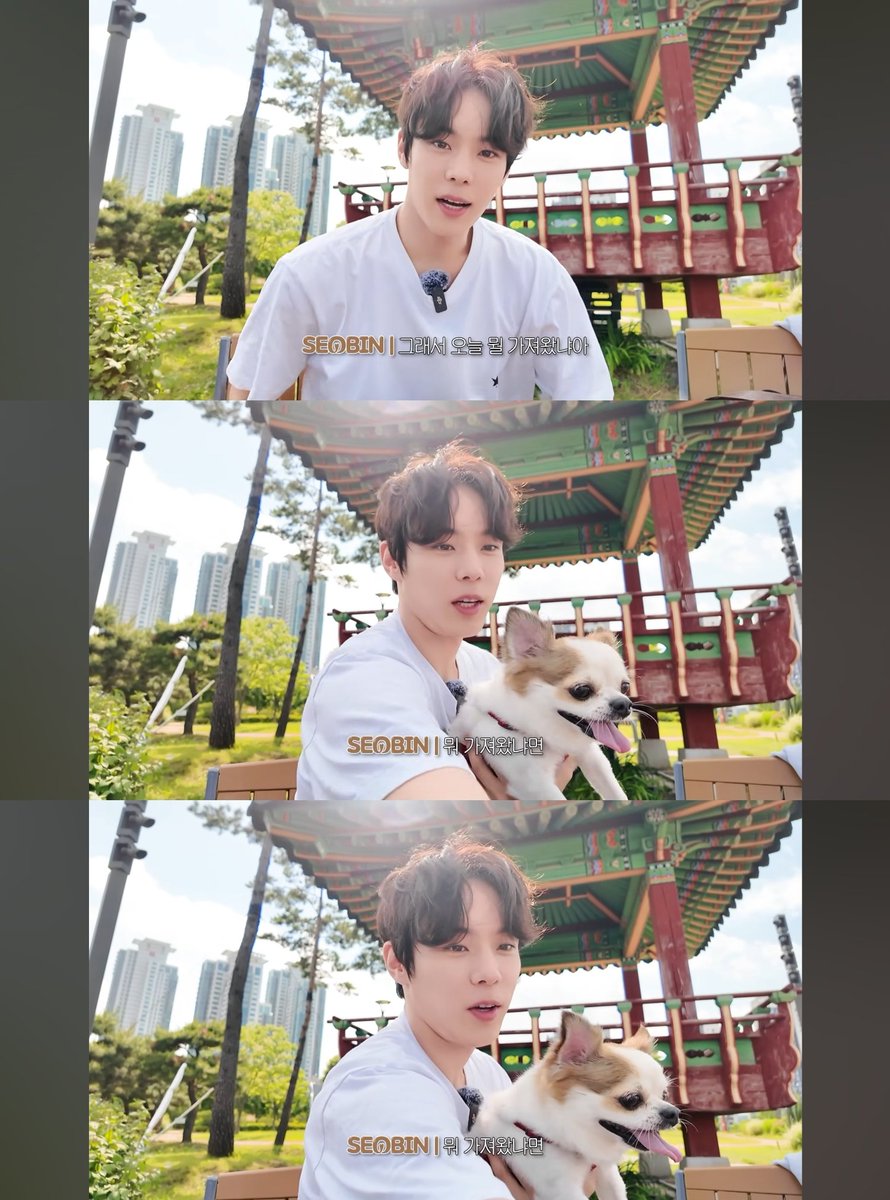 KoyukiJun's tweet photo. ☀️ Seobin &amp; Kori 🐶
They're soooooo adorable ˶>ᗜ<˶ https://t.co/1qAlpDYP8r
