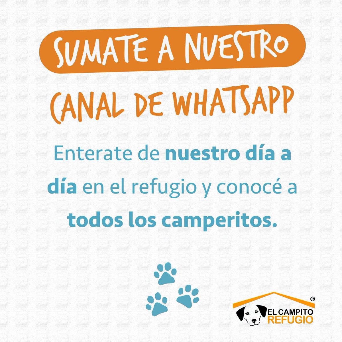 elcampito's tweet photo. Queremos estar más cerca tuyo! 🐾
Creamos este Canal de WhatsApp para compartir fotos, videos y noticias exclusivas desde el corazón del refu.
Enterate cómo viven, qué necesitan y quiénes son los nuevos integrantes. 
Te esperamos!
🔗 Link para unirte 👉🏻 https://t.co/ePthqt9xyD https://t.co/iUUuBBHDf3