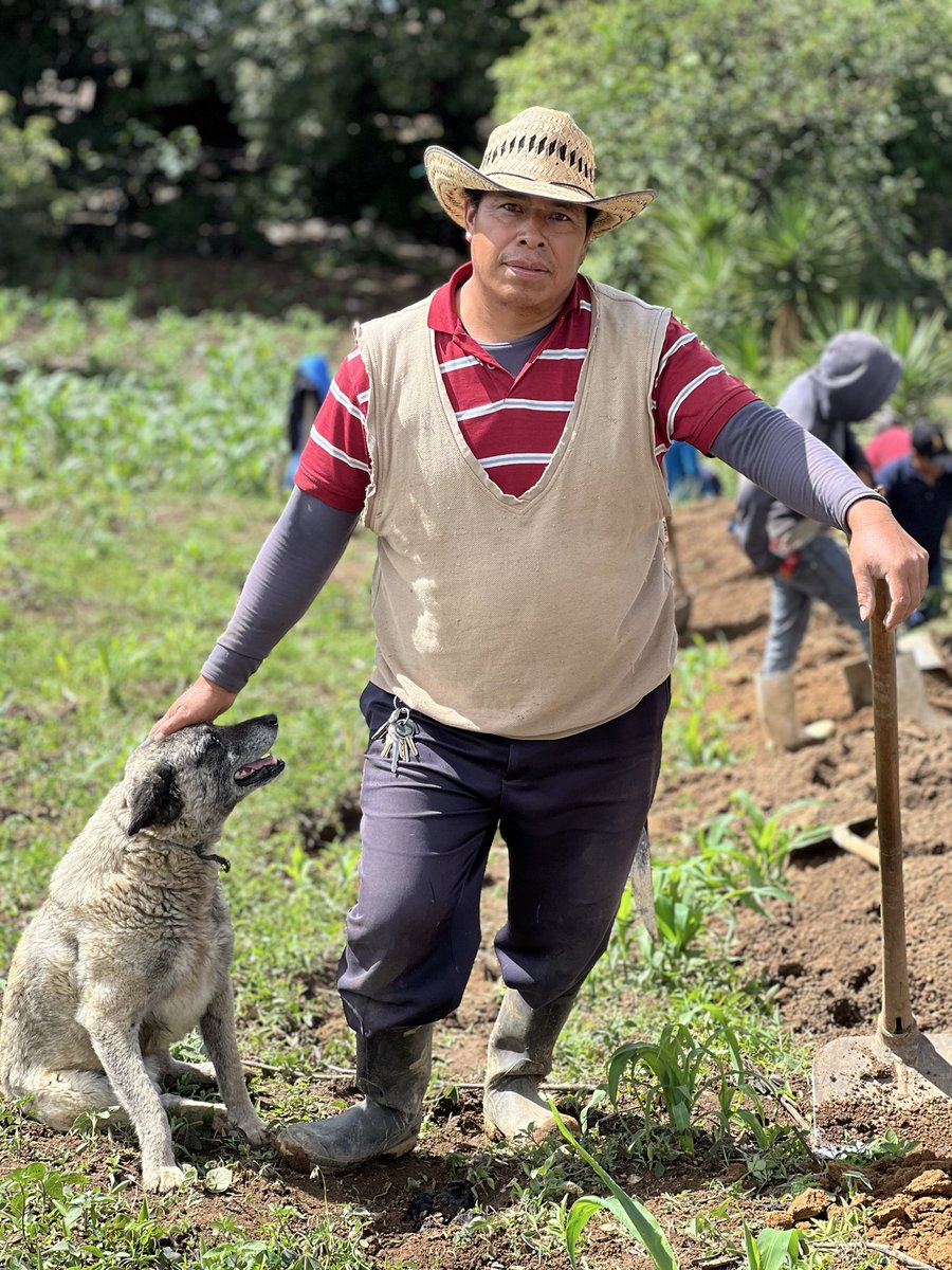 EdsonMonterroso's tweet photo. Hay trabajos que no siempre salen en las noticias.

Pero son esos pequeños avances, bajo el sol y con las botas llenas de tierra, los que terminan llevando dignidad y esperanza a cada comunidad.

Seguimos adelante. 💧 #CleanWaterForAll https://t.co/ADVCBU3r2a