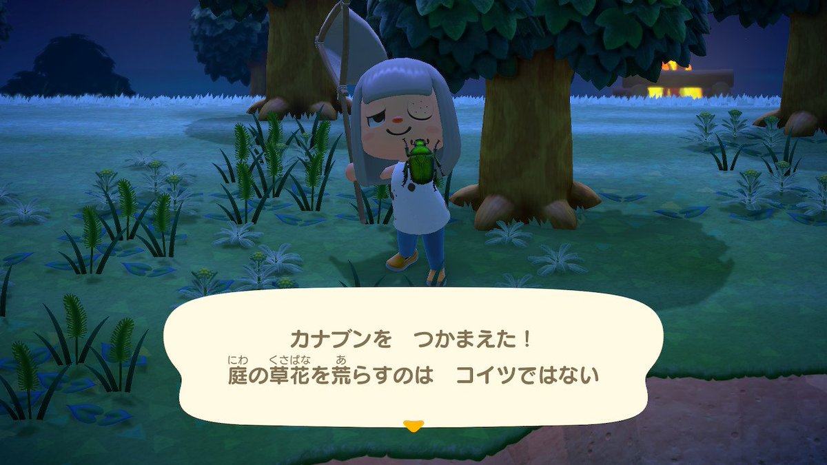 K_Gunsoooooo's tweet photo. なんかふわっとあつ森を買ってしまった。うん、ゆるーくおもしろい(   ᷇ᵕ ᷆  ) https://t.co/t7hCA7lRv8