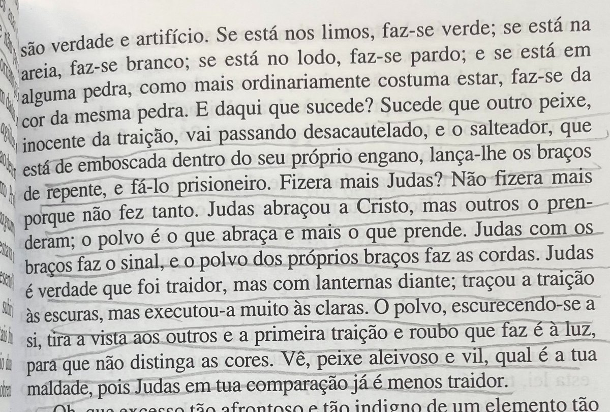 hegelerahippie's tweet photo. como pode um dos textos mais lindos da língua portuguesa ser d um padre louco pregando pra peixes https://t.co/3Np0pf58V7