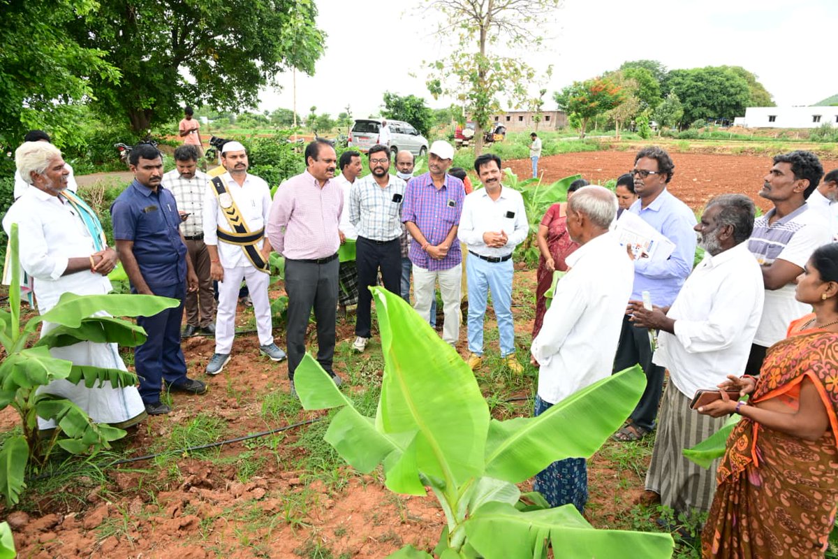 CollectorKadapa's tweet photo. https://t.co/xA2ZEJg3Be