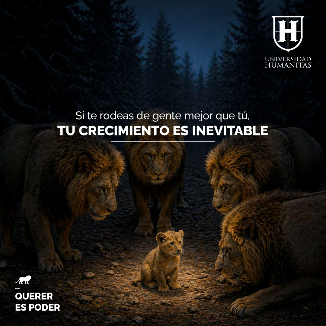 UHumanitas's tweet photo. Quien se rodea de personas disciplinadas, preparadas y comprometidas con la excelencia encuentra un camino más claro hacia su propia evolución. 🦁🏛️
#UniversidadHumanitas #SoyHumanitas #ImpulsandoPersonas #QuererEsPoder https://t.co/5Qh9HpfNos