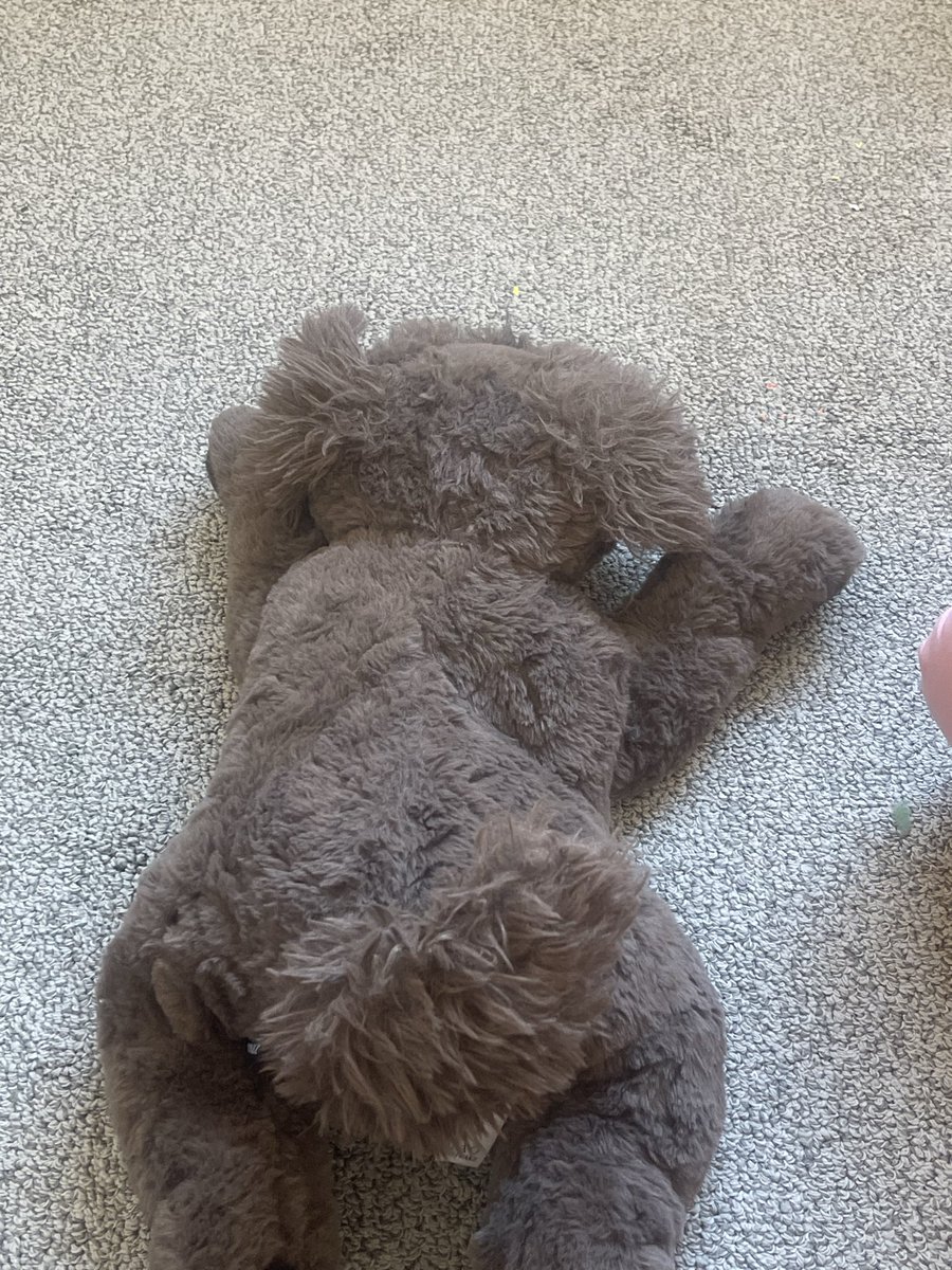 MacroxMayhem's tweet photo. Got this teddy to be my cushion and sweat absorber. Like everything that bears my weight, he will eventually be too flat for comfort. Who wants to take his place? 👣👣

#feet #footfetish #sizedifference #macro #malefeet #malemacro #malemacro #teddycrush #sweatyfeet #footslave https://t.co/kC7Ca28jFK
