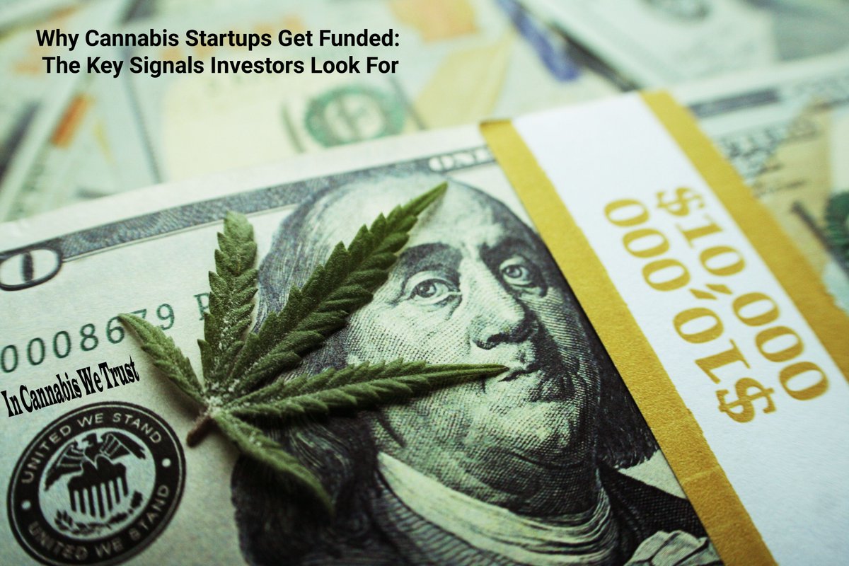 MaxQTech's tweet photo. Why #CannabisStartups Get #Funded: The Key Signals #Investors Look For - https://t.co/zjAjI286fz https://t.co/dmkHKD6Ncp