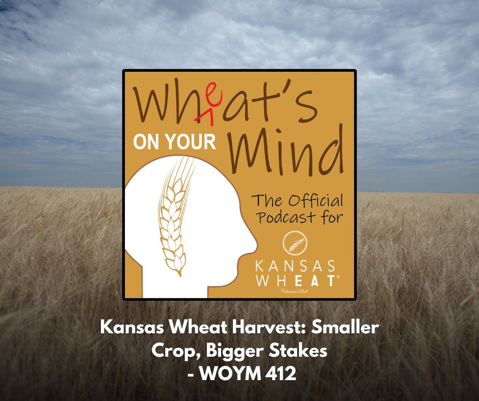 KansasWheat's tweet photo. From harvest progress to fertilizer purchases, uncertainty remains a key theme for wheat producers. StoneX market experts join Aaron Harries and Justin Gilpin to break down the latest trends shaping the wheat industry.

🎧 Listen today: https://t.co/IV8dGQnsZC https://t.co/PVXV2xCFVN