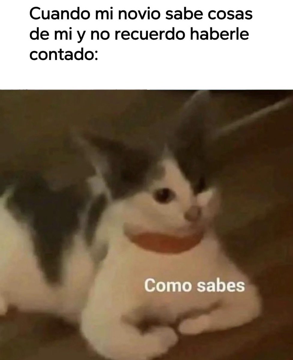MundoDeBigotes's tweet photo. https://t.co/5riVen6lfh