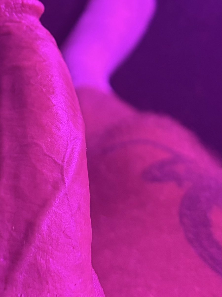 MickDeeWilly's tweet photo. Meaty https://t.co/AGQL4Z5dHa