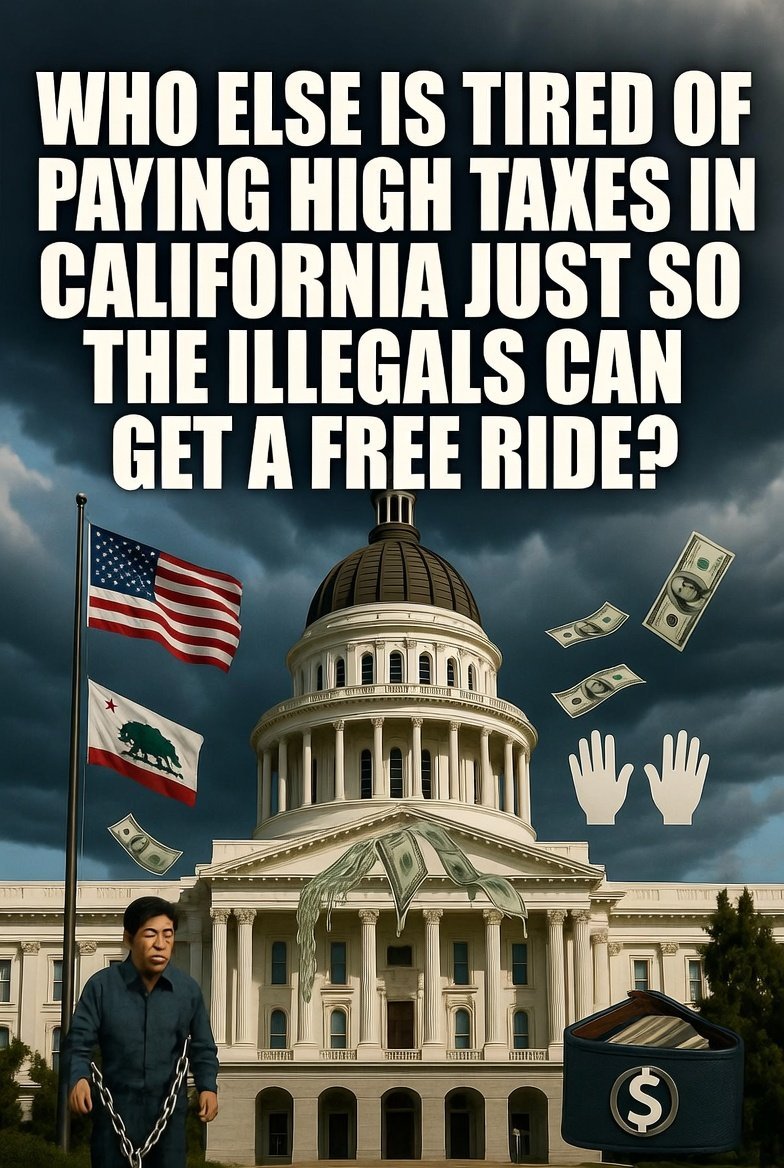 Jolie_Miller09's tweet photo. Who else is tired of paying HIGH Taxes in California just so the illegals can get a free ride? https://t.co/Pz1h7DkdsU