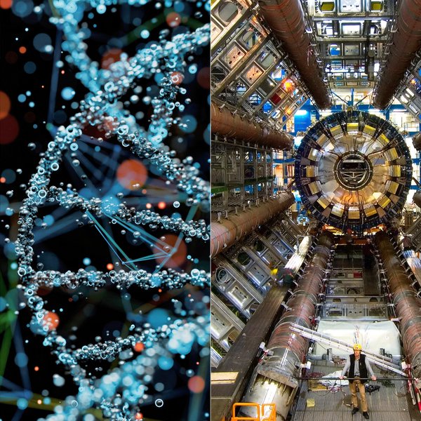 NightSkyToday's tweet photo. JUST IN🚨: MIT just built a tool that could crack the biggest mystery in Science.  

Using focused ultrasound, MIT researchers can now stimulate the deepest parts of the brain — to finally test what causes consciousness, not just what correlates with it.  

The secret of "you" may finally be within reach.