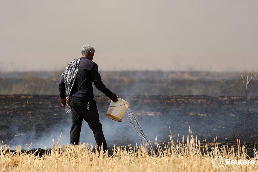 Eli_Rojava's tweet photo. All regions of Rojava including Qamishli, Hasakah, Derik, Rimelan, Amuda, are witnessing widespread fires that are consuming agricultural crops, with cells linked to Turkish intelligence carrying out the arson in what is seen as a new attack on the livelihoods of residents

#Kurd https://t.co/wbaODKuD2n