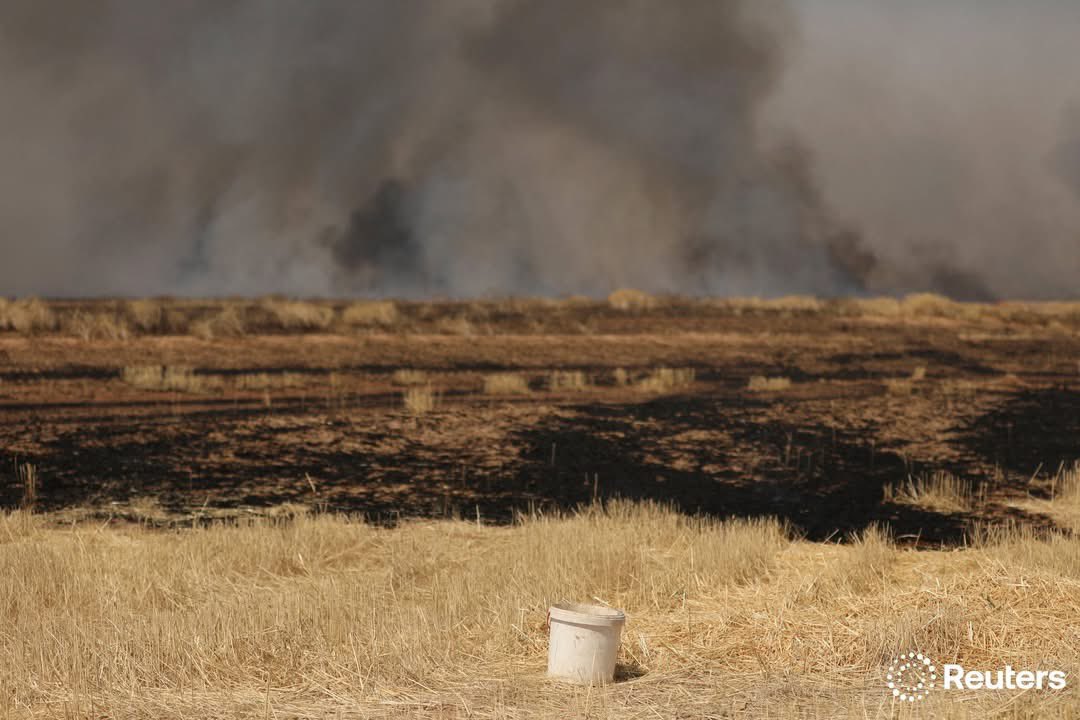 Eli_Rojava's tweet photo. All regions of Rojava including Qamishli, Hasakah, Derik, Rimelan, Amuda, are witnessing widespread fires that are consuming agricultural crops, with cells linked to Turkish intelligence carrying out the arson in what is seen as a new attack on the livelihoods of residents

#Kurd https://t.co/wbaODKuD2n