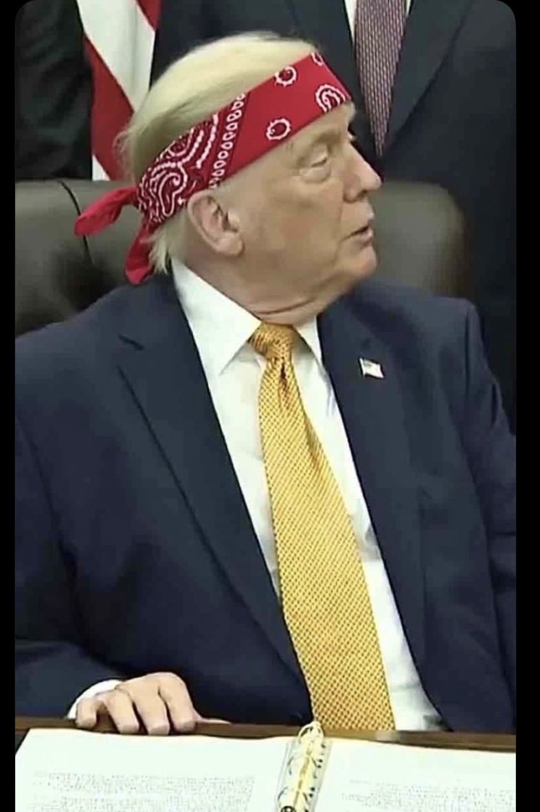 MoobarooForest's tweet photo. @atrupar Might as well add the bandanna at this point. https://t.co/XWMJgDLW54