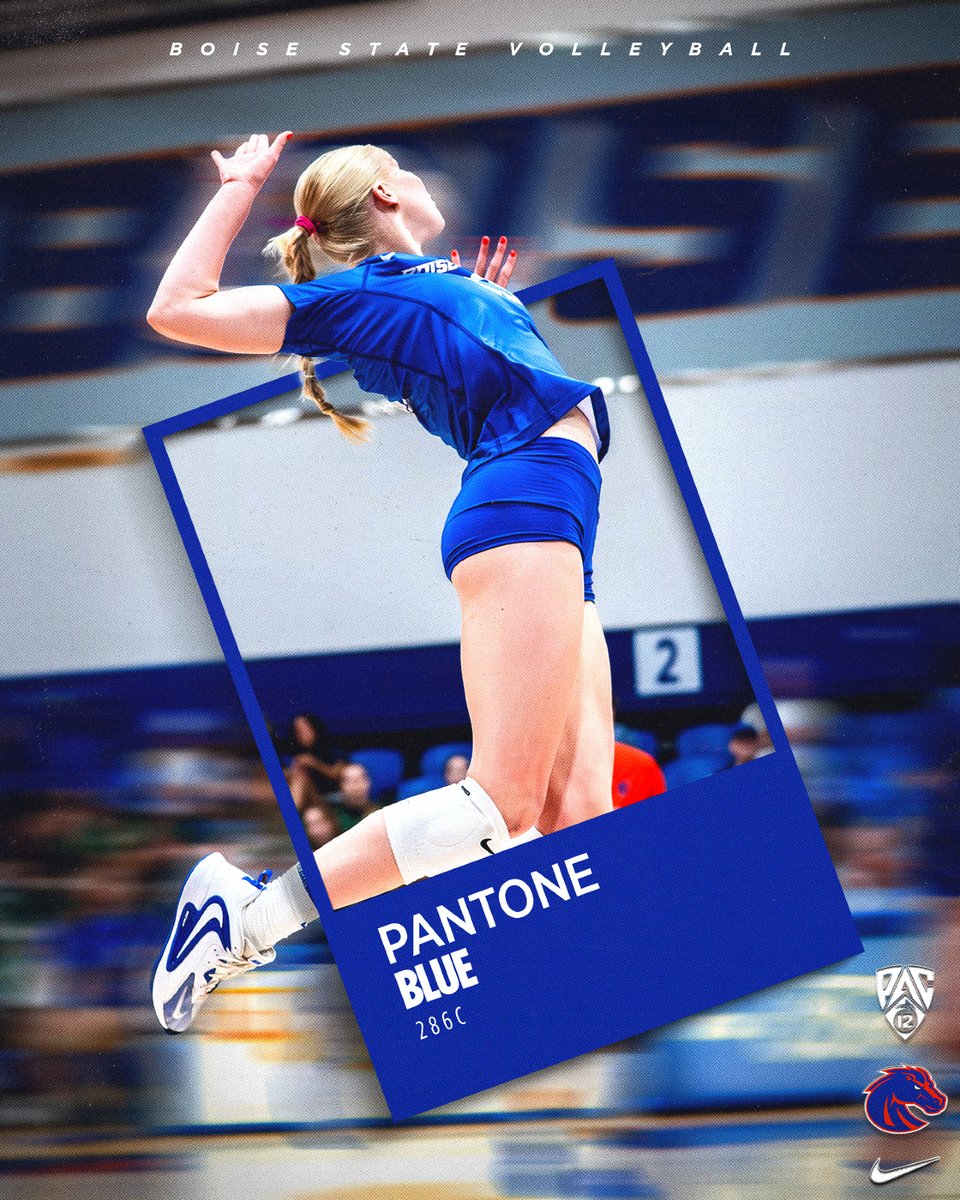 BroncoSportsVB's tweet photo. the perfect color palette ✨

#BleedBlue | #WhatsNext https://t.co/cLU1KWQhOE