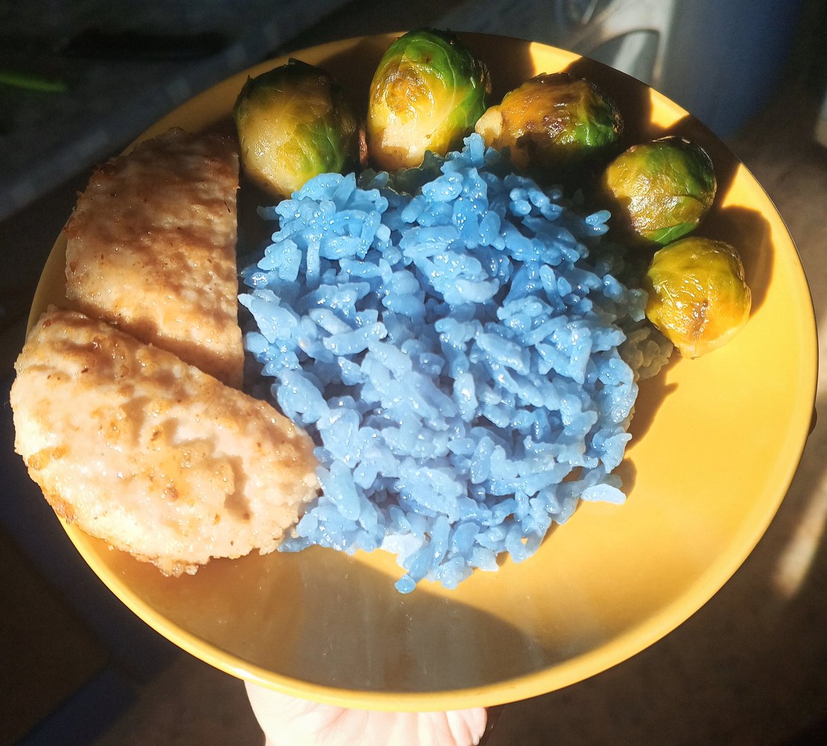 _Ohiko1_'s tweet photo. I made blue rice using blue tea!
💦🍚
 The color is exotically beautiful.
While tea base was brewing the kitchen was filled with the pleasant aroma.. and the rice now delicately exudes that same aroma of blue tea!🦋 https://t.co/CZdoFYFouE