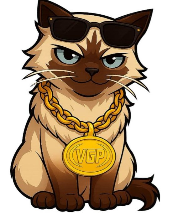 VGP Video Games Plus tweet media