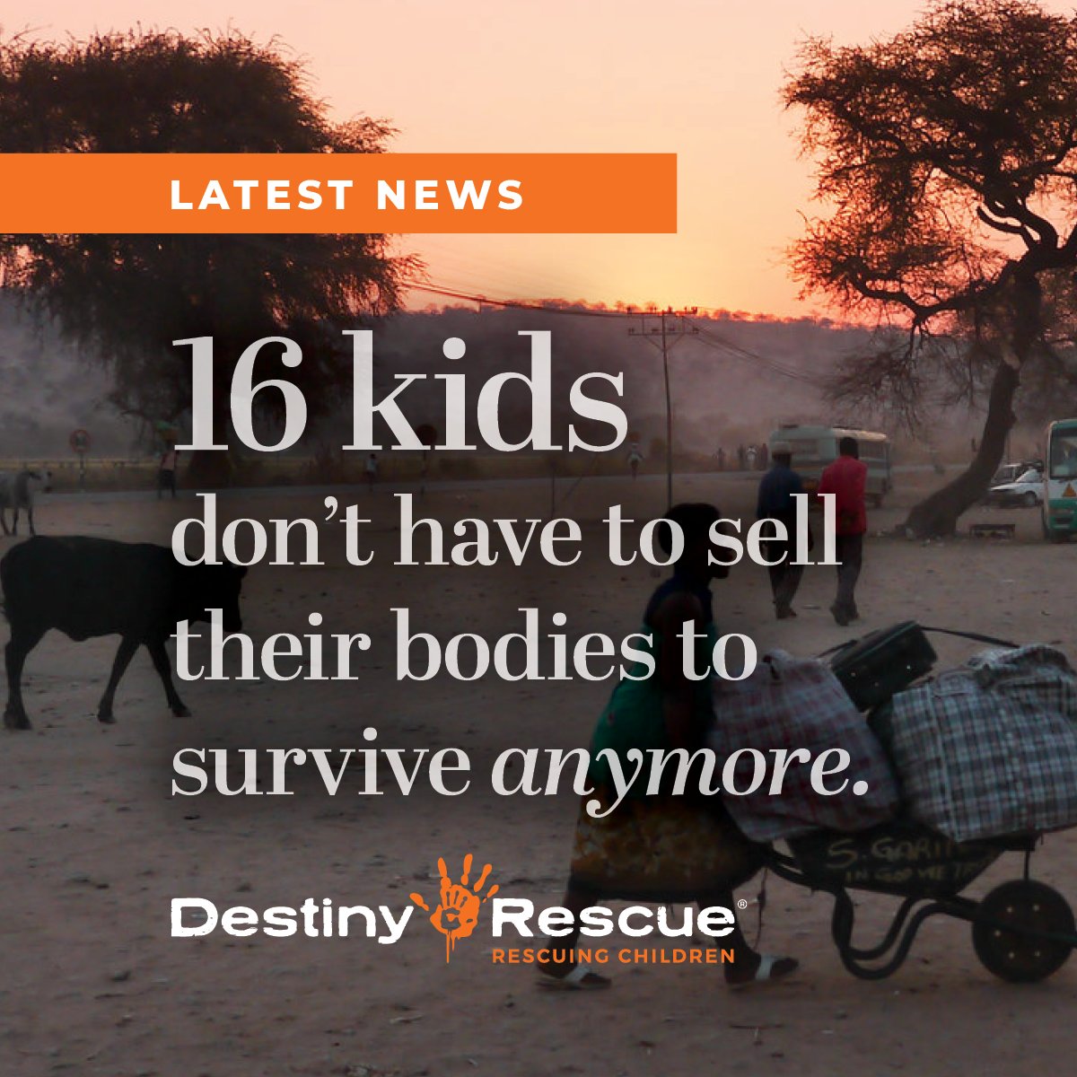 destinyrescue's tweet photo. RESCUE UPDATE: 16 children and three young adults are free from sexual exploitation in Zimbabwe.

Nineteen Zimbabwean victims of exploitation became survivors after joining the local Destiny Rescue program.

Read the latest news: https://t.co/9tlCBqNjR3 https://t.co/tqjQNYwtWr