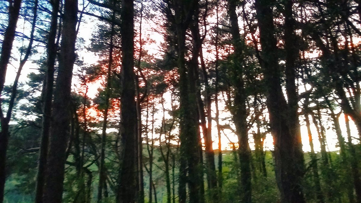 MOHAWK_RETRO's tweet photo. Check out #wild #camping #hiking #woodlans #trip to the #mountains #Genuine #British #Military #MTP #Camo #Shelter #Basha #Ground #Sheet #GS #Tarp #Grade #Army #cadets #reenactment #bushcraft #tent 🌲🌳🌳🏕️ https://t.co/4f5Myi8M6Y #eBay via @eBay_UK https://t.co/GkcvfW9mcp